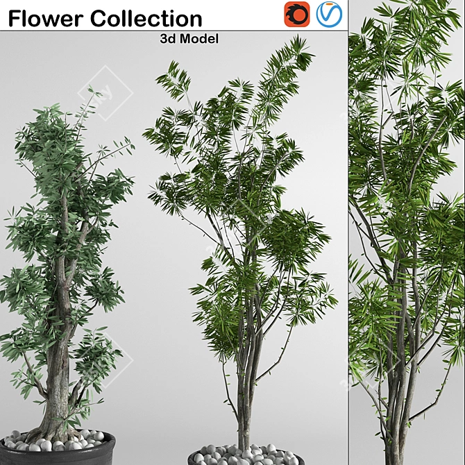 3D Indoor Plant Collection: High-Quality, FBX Compatible 3D model image 2