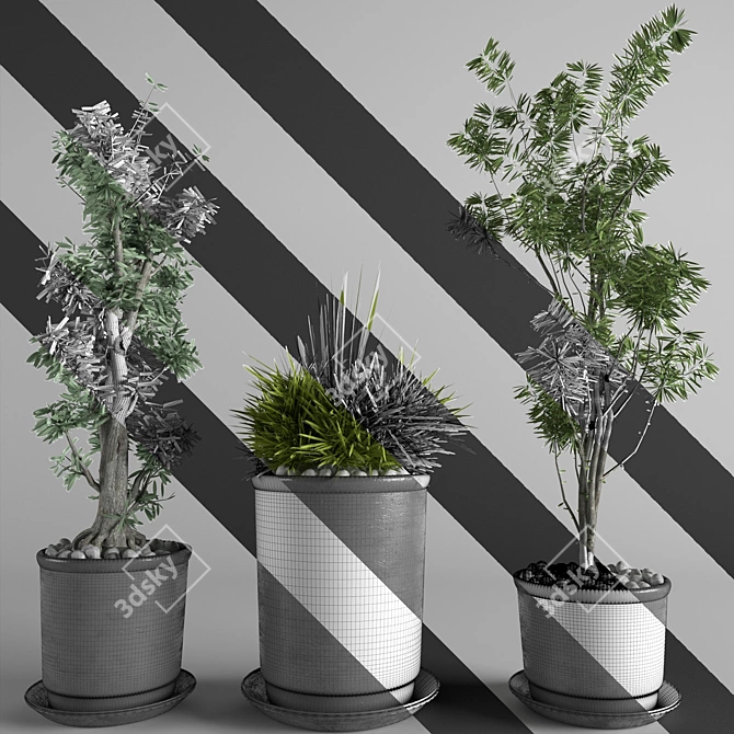 3D Indoor Plant Collection: High-Quality, FBX Compatible 3D model image 3