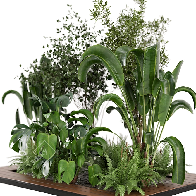 Garden Greenery Collection: 5 Plants 3D model image 2