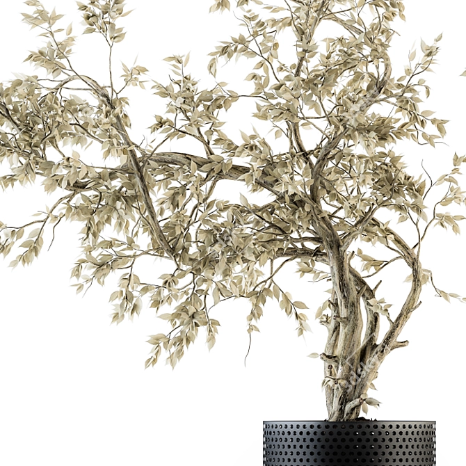 Nature's Enduring Beauty - Dried Plant Bouquet 3D model image 2