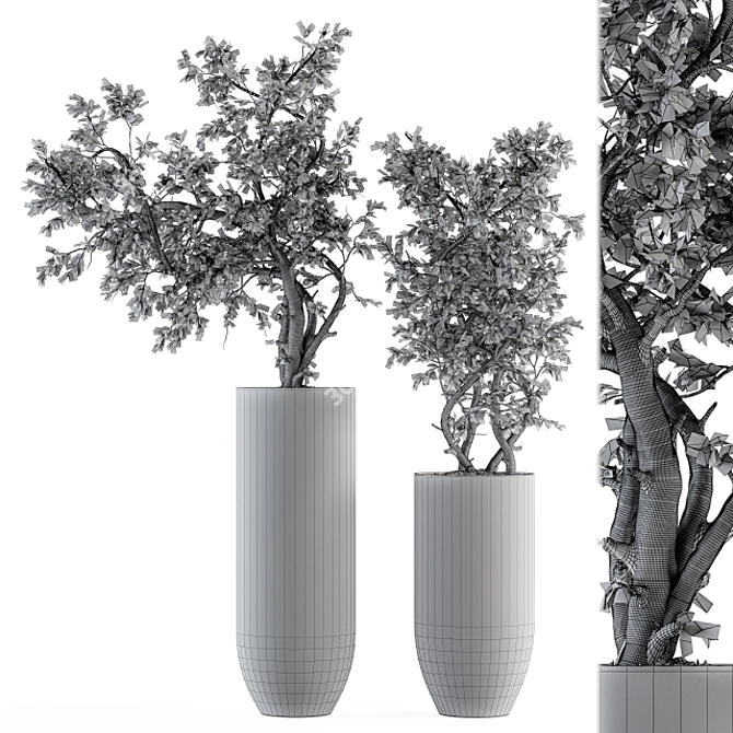 Nature's Enduring Beauty - Dried Plant Bouquet 3D model image 4