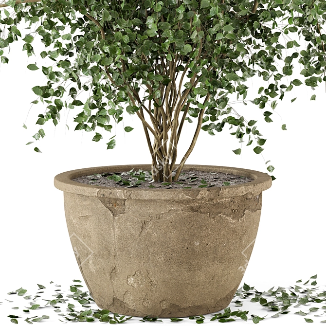 Rustic Concrete Pot Indoor Plants - Set of 20 3D model image 3