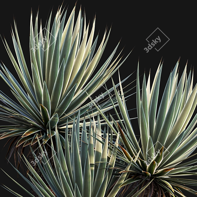 Caribbean Agave 3D Model Bundle 3D model image 3