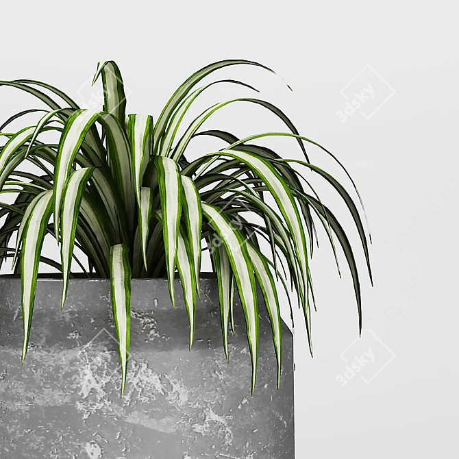 Rustic Grey Vase with Green Plants 3D model image 2