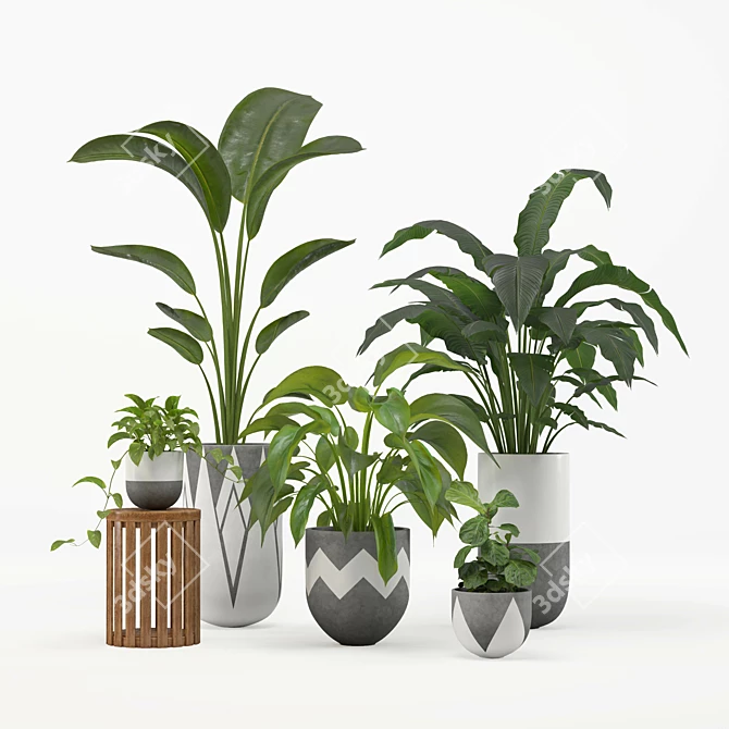 PBR-configured Indoor Plant Set 3D model image 1