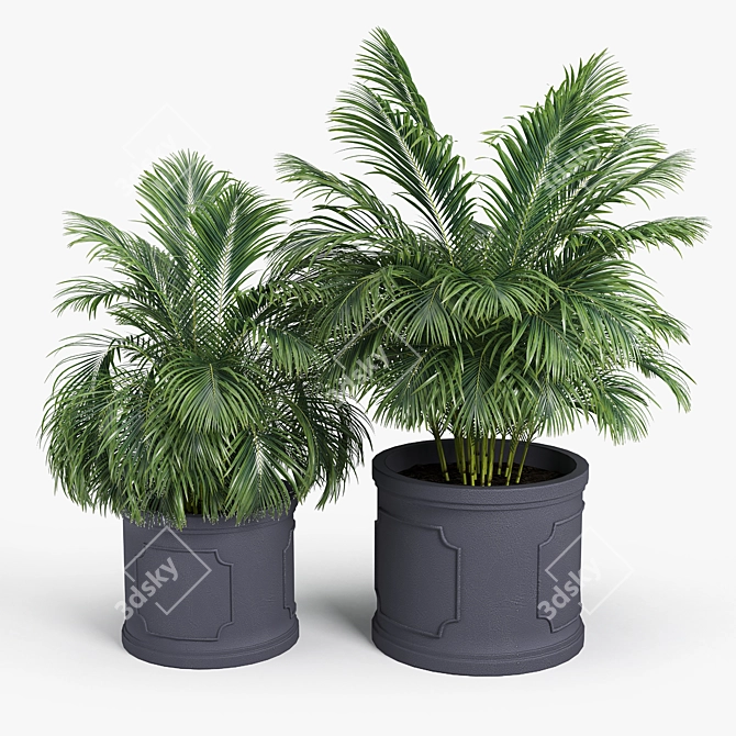 Birmingham Palm Planter: 3D Design 3D model image 2