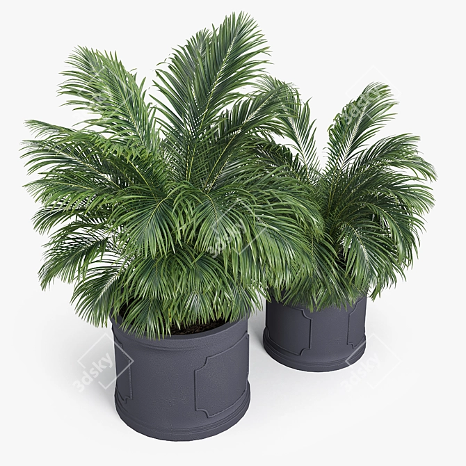 Birmingham Palm Planter: 3D Design 3D model image 3