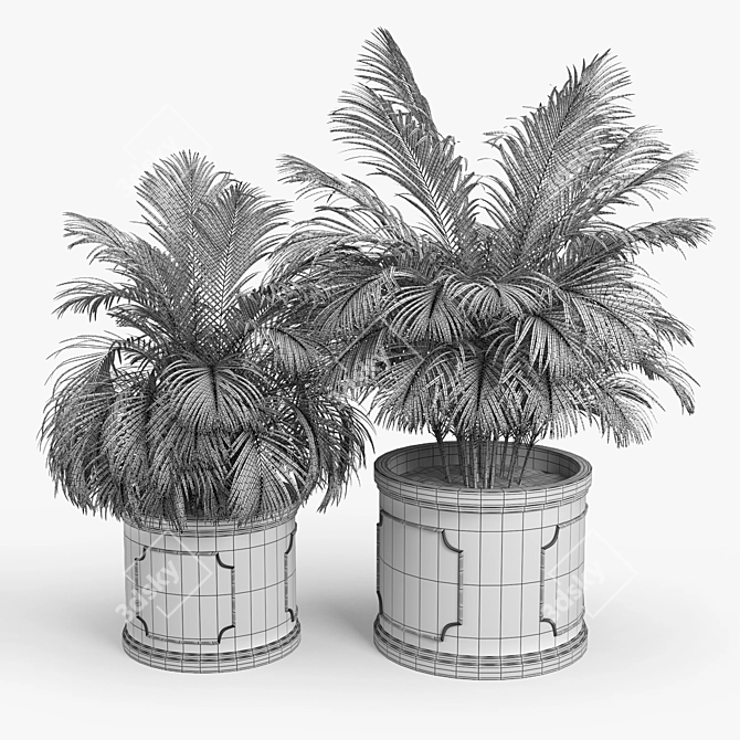 Birmingham Palm Planter: 3D Design 3D model image 4