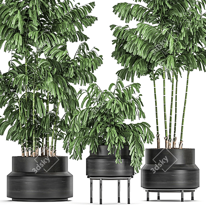 Title: Exotic Plant Collection in Black Vases 3D model image 4