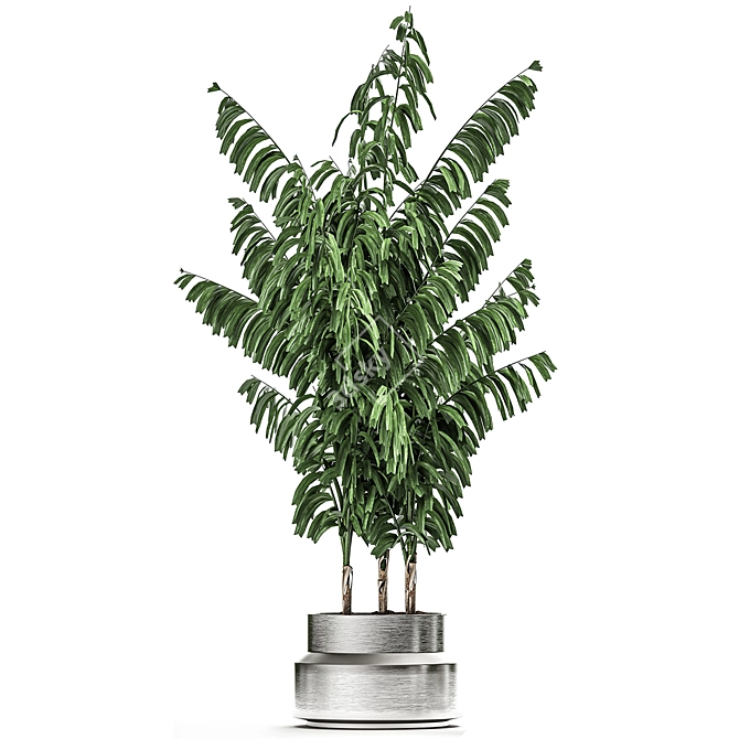 Tropical Chrome Plant Collection 3D model image 2