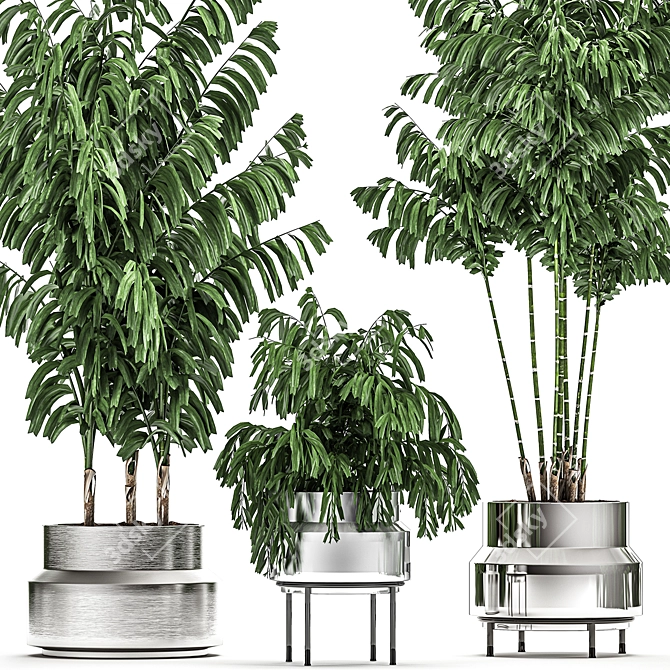 Tropical Chrome Plant Collection 3D model image 4