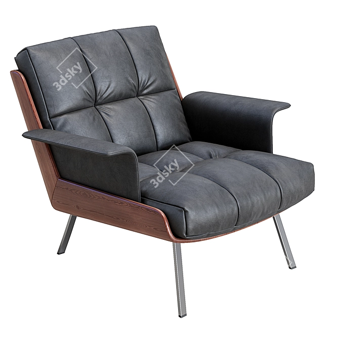 Luxury Daiki Leather Armchair 3D model image 1