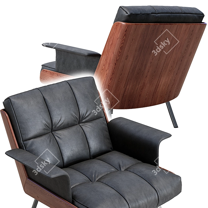 Luxury Daiki Leather Armchair 3D model image 2
