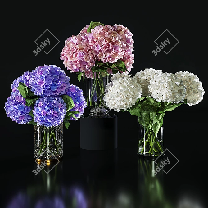 Hydrangea Blossom Set: Elegant Floral Decor 3D model image 1