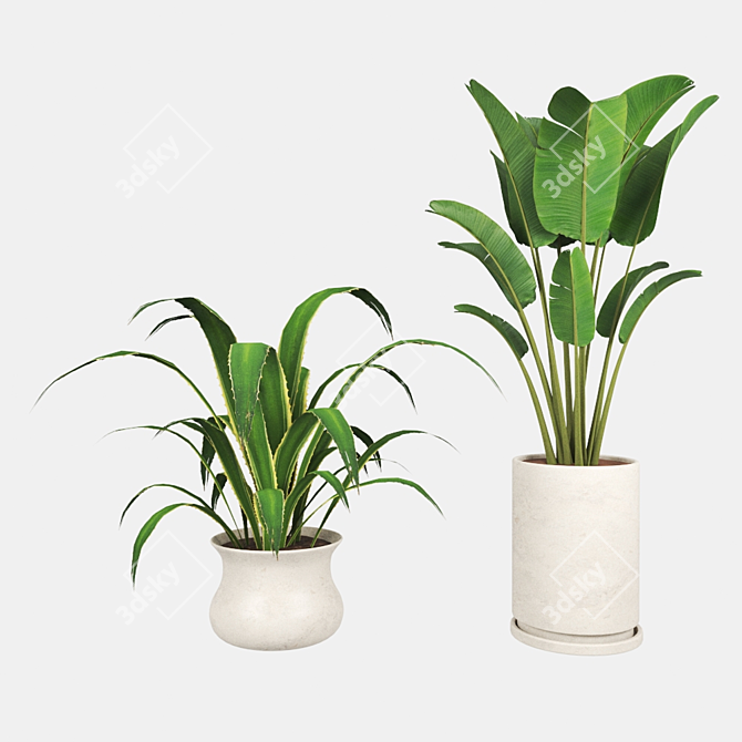 Zen Garden Plants Collection 3D model image 3