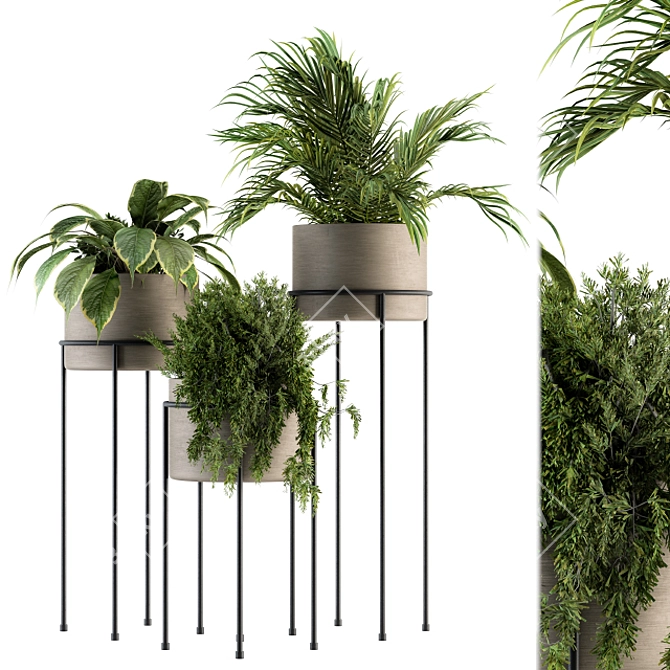 Modern Indoor Plant Stand Set - 129 Varieties 3D model image 1