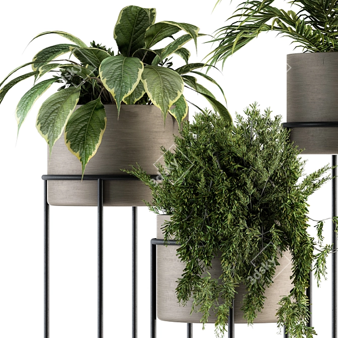 Modern Indoor Plant Stand Set - 129 Varieties 3D model image 3