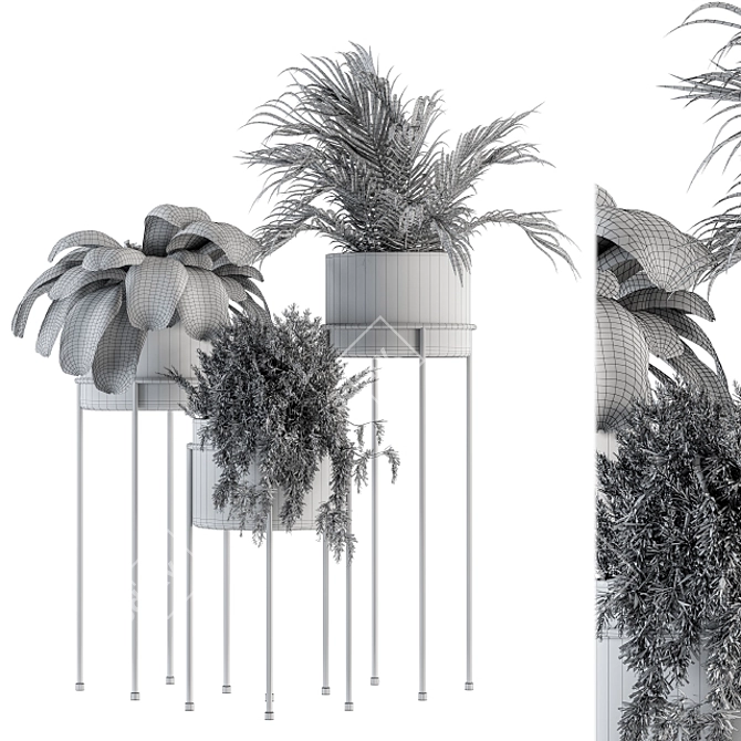 Modern Indoor Plant Stand Set - 129 Varieties 3D model image 4