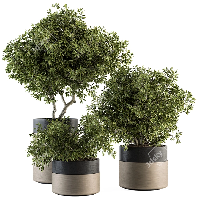 Ultimate Indoor Plant Collection - Potted Tree 3D model image 1