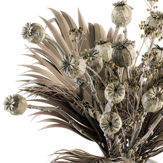 Natural Dry Papavet & Palm Branch 3D model image 2