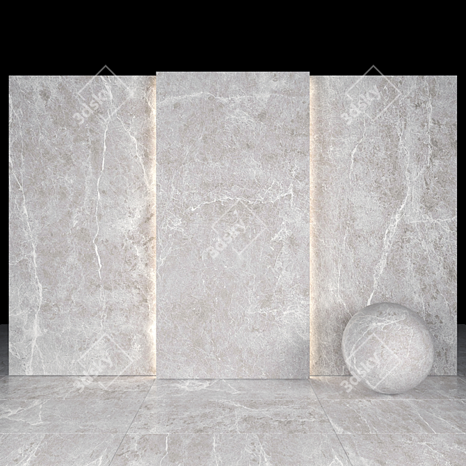 Elegant Spider Gray Marble Slabs 3D model image 1