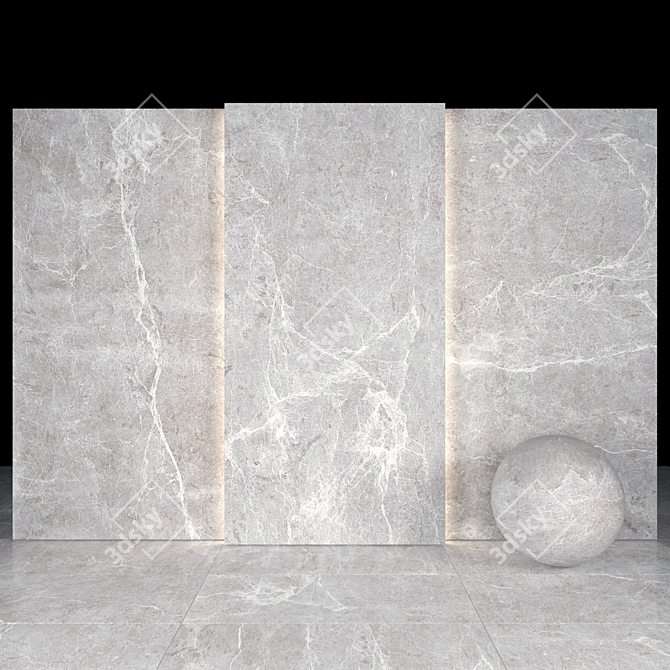 Elegant Spider Gray Marble Slabs 3D model image 2