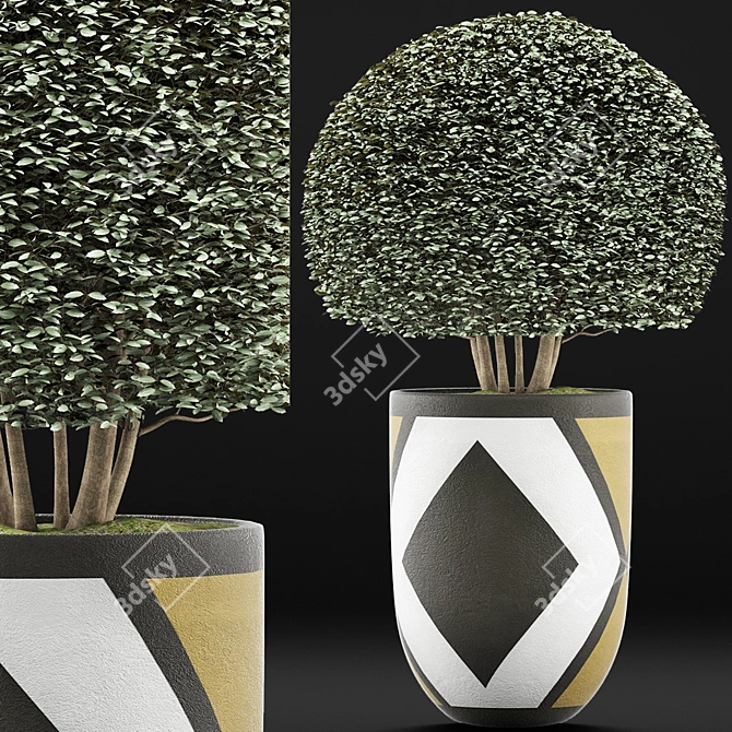 Exotic Bonsai: Ligustrum Ovalifolium 3D model image 3