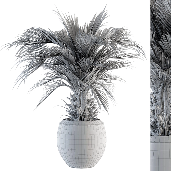 Tropical Palm Plant in Pot 3D model image 4