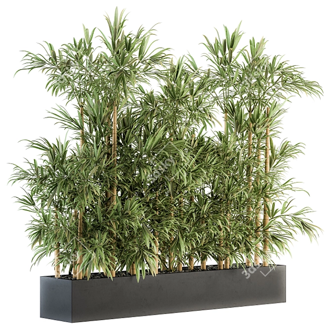 Green Oasis: Bamboo Bliss in Box 3D model image 1