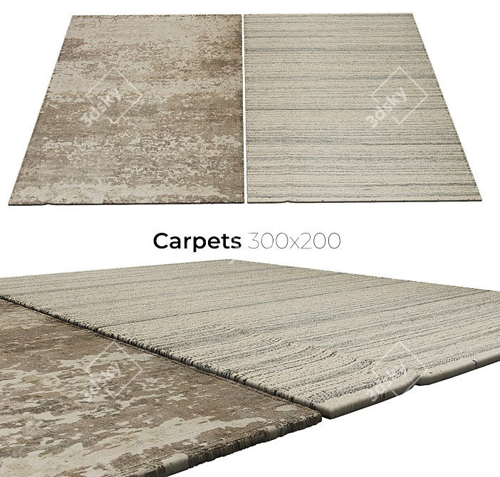 Elegant Carpets for Chic Homes 3D model image 1