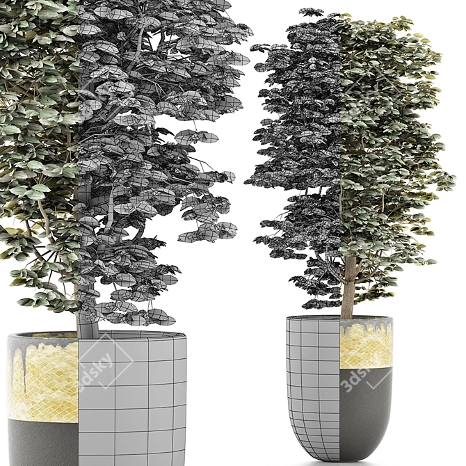 Exotic Geometry: 127 Ligustrum 3D model image 4