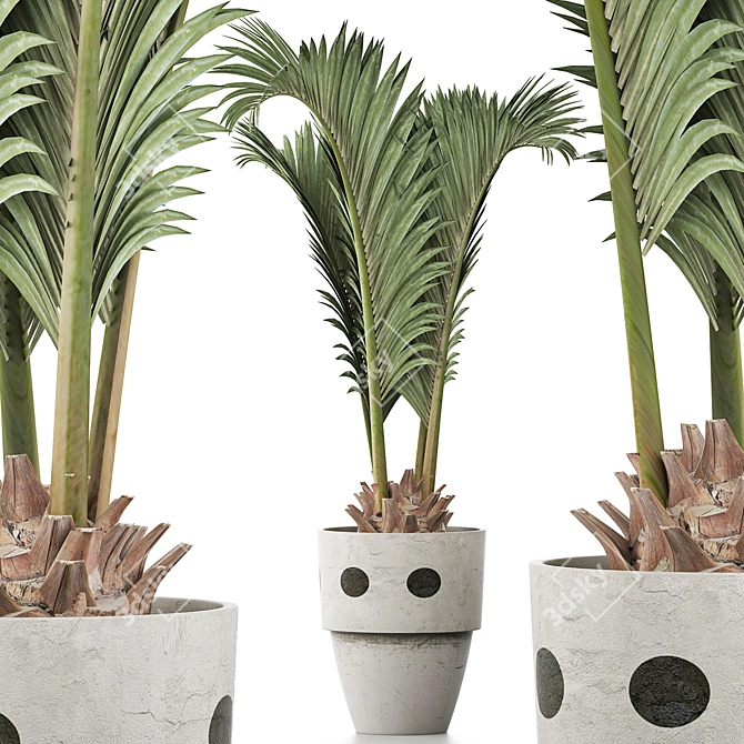 Exotic Palm Pool Plants Collection 3D model image 1