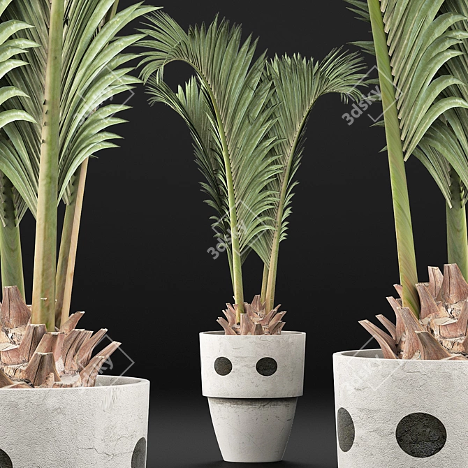 Exotic Palm Pool Plants Collection 3D model image 2