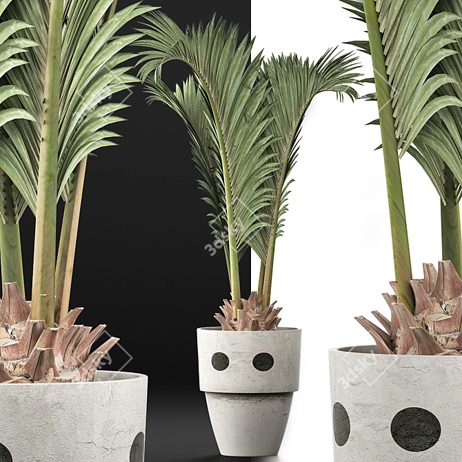 Exotic Palm Pool Plants Collection 3D model image 3