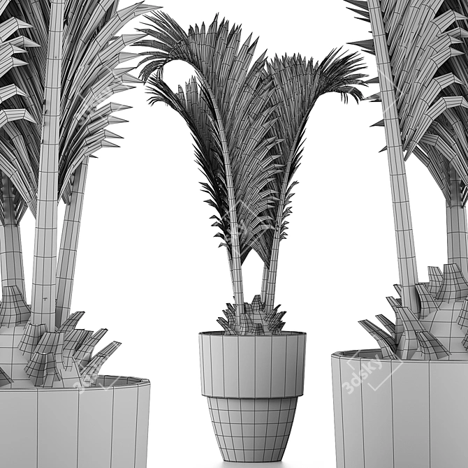 Exotic Palm Pool Plants Collection 3D model image 5
