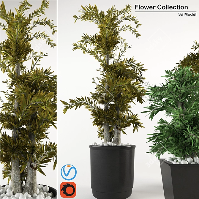 Indoor Plant Collection: 3D & High Quality 3D model image 2