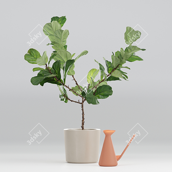 Realistic Fiddle-Leaf Fig 3D Model 3D model image 1