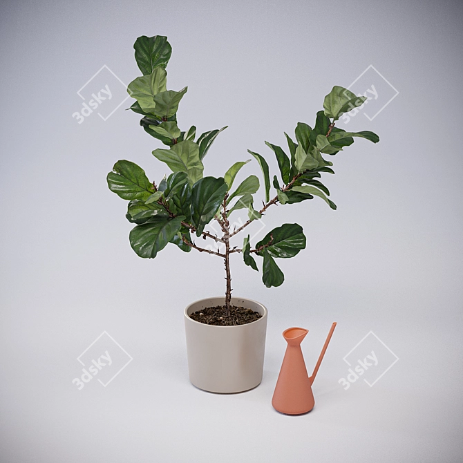 Realistic Fiddle-Leaf Fig 3D Model 3D model image 2