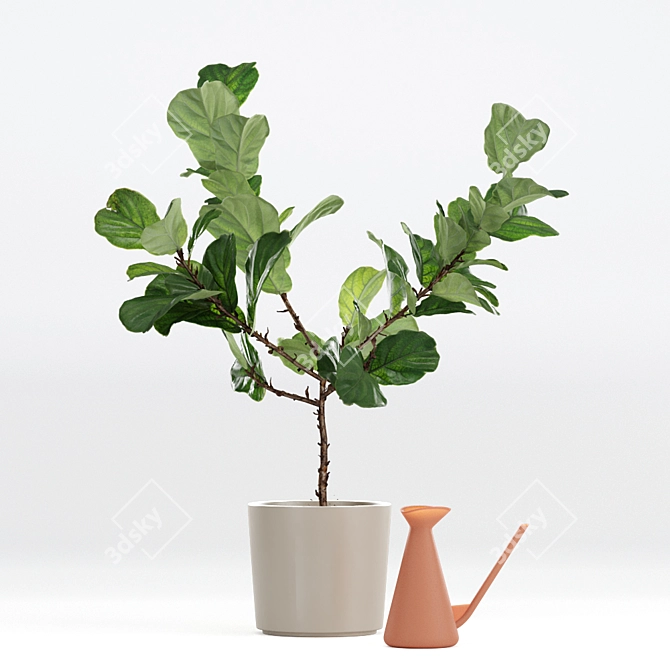 Realistic Fiddle-Leaf Fig 3D Model 3D model image 6