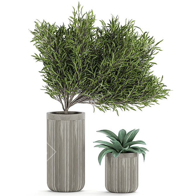 Tropical Oasis: Exotic Plants & Stylish Concrete Planters 3D model image 2