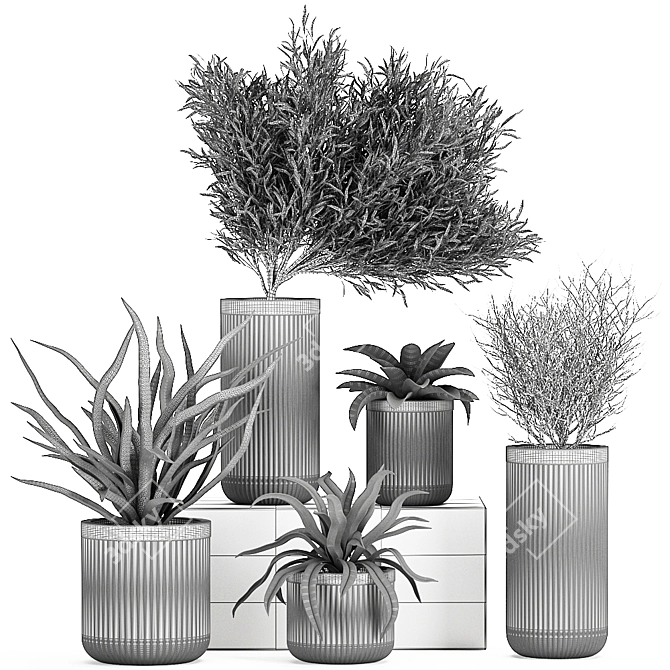 Tropical Oasis: Exotic Plants & Stylish Concrete Planters 3D model image 5