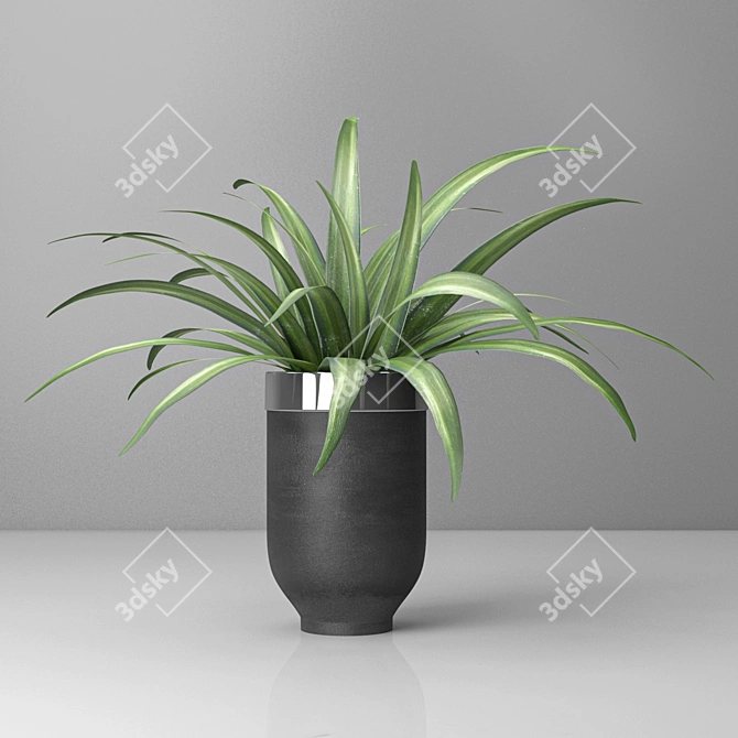 Versatile Spider Plant: Indoor & Outdoor 3D model image 1