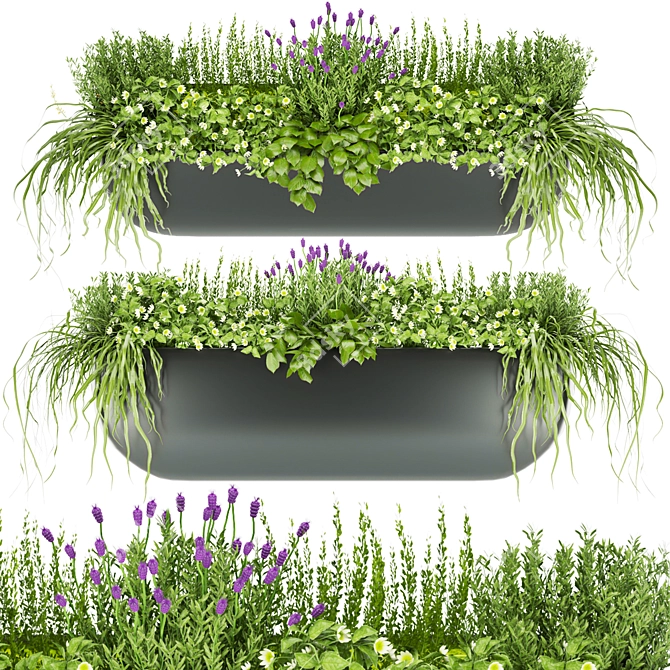 Botanical Collection Vol. 61: Exquisite Plants 3D model image 1