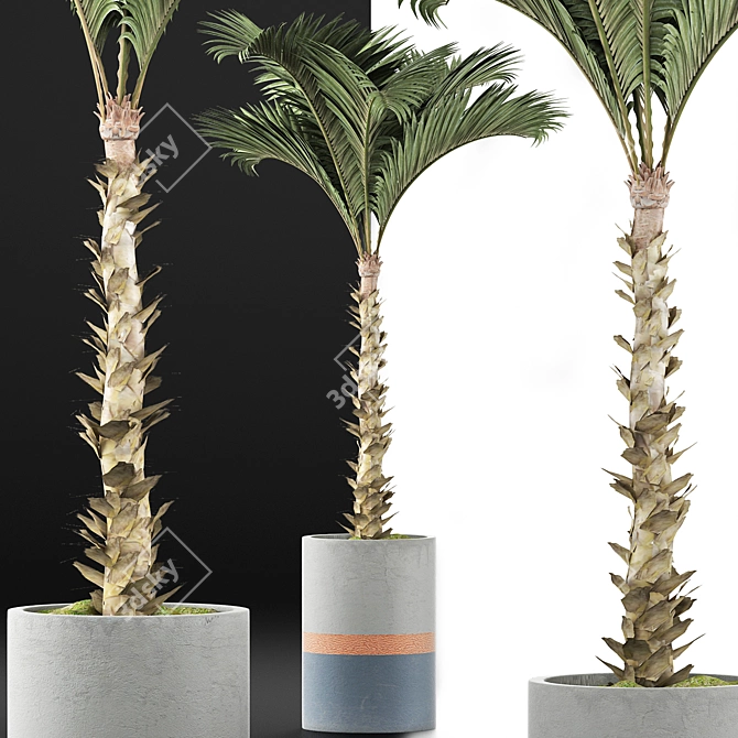 132 Large Palm Plants Collection 3D model image 3