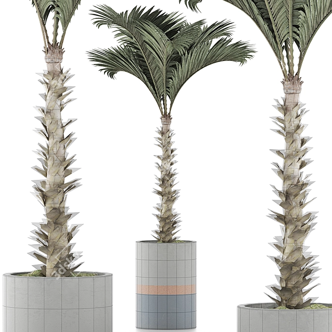 132 Large Palm Plants Collection 3D model image 4