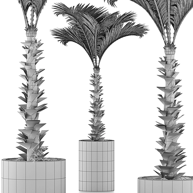 132 Large Palm Plants Collection 3D model image 5