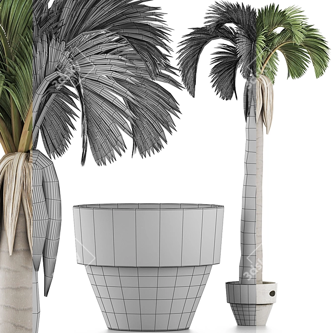 Tropical Palm Paradise 3D model image 4