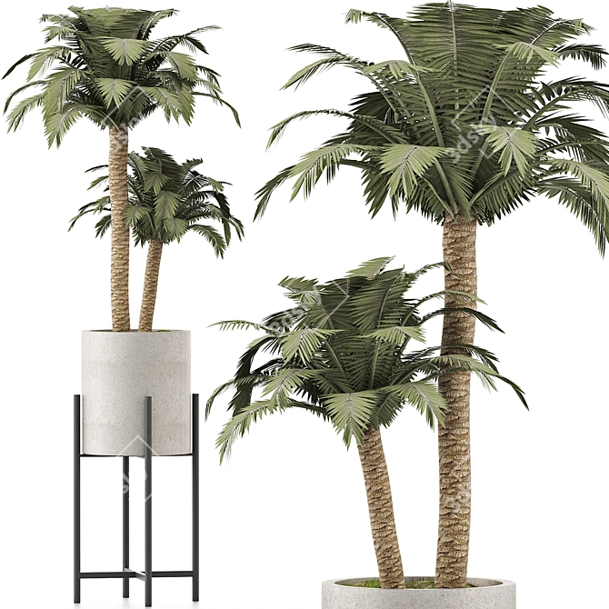 Tropical Paradise: Beach Palm Duo 3D model image 1