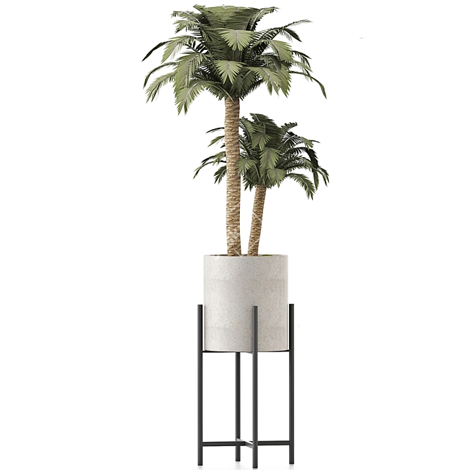 Tropical Paradise: Beach Palm Duo 3D model image 2