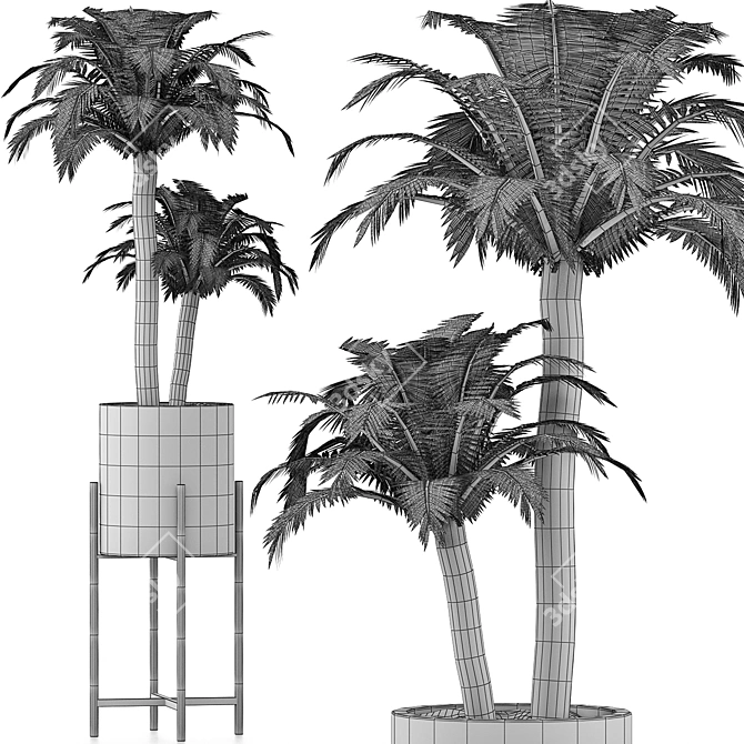 Tropical Paradise: Beach Palm Duo 3D model image 3